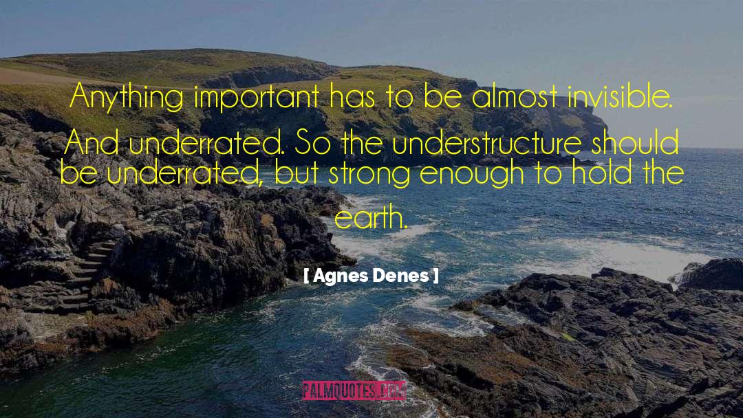 Agnes Denes Quotes: Anything important has to be