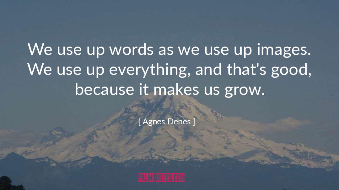 Agnes Denes Quotes: We use up words as