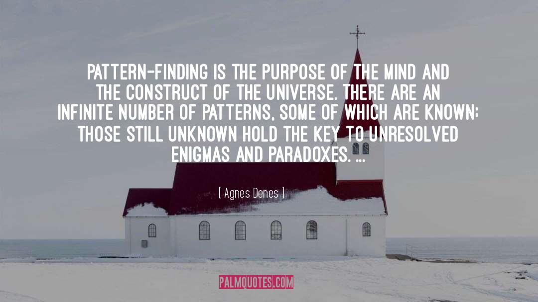 Agnes Denes Quotes: Pattern-finding is the purpose of
