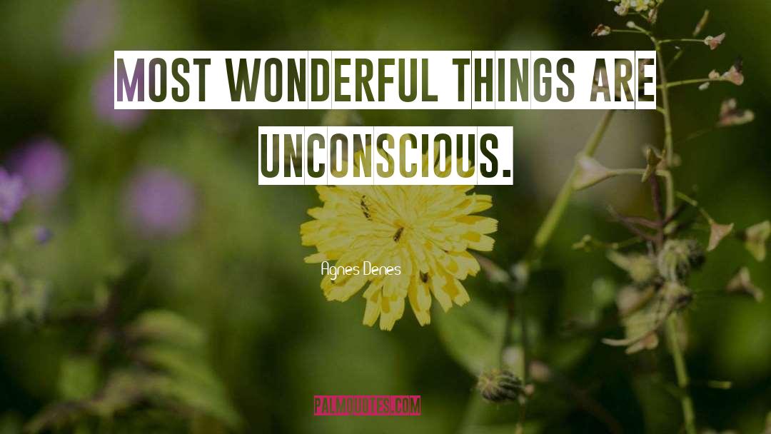 Agnes Denes Quotes: Most wonderful things are unconscious.