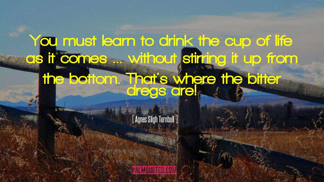 Agnes Sligh Turnbull Quotes: You must learn to drink