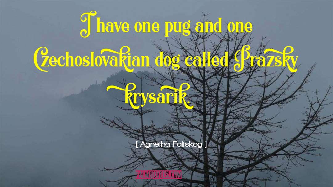 Agnetha Faltskog Quotes: I have one pug and