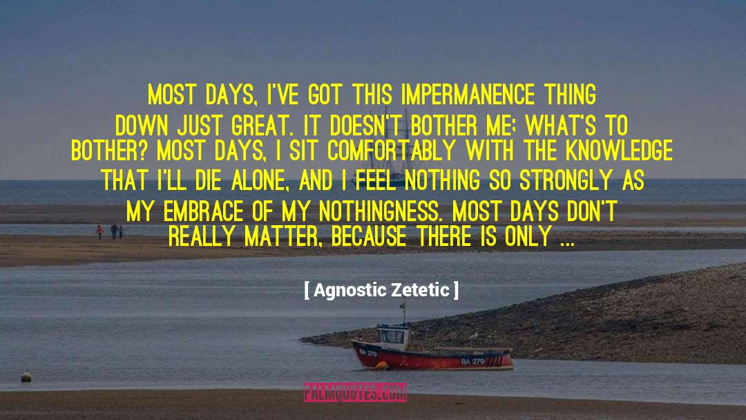 Agnostic Zetetic Quotes: Most days, I've got this