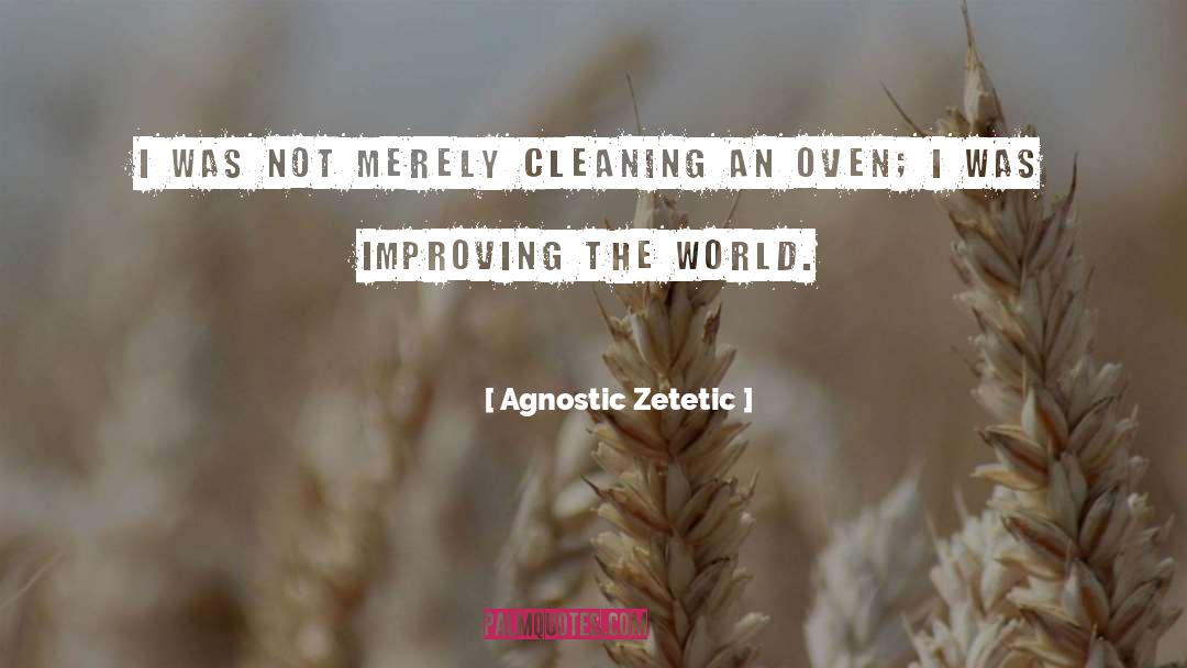 Agnostic Zetetic Quotes: I was not merely cleaning