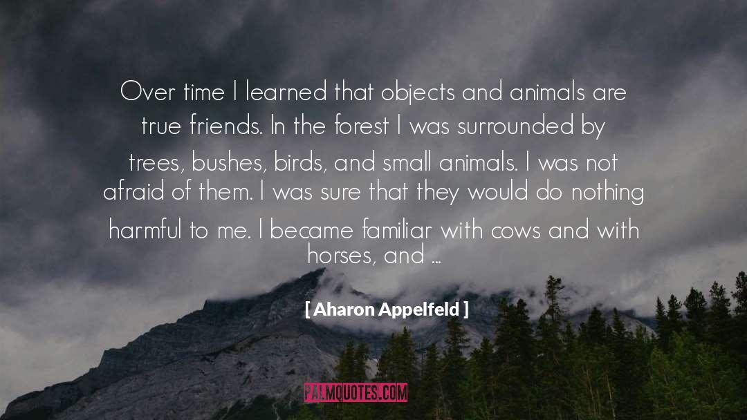 Aharon Appelfeld Quotes: Over time I learned that