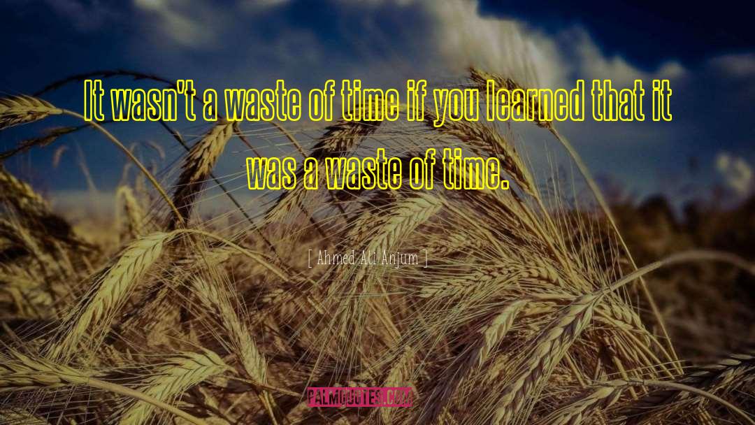 Ahmed Ali Anjum Quotes: It wasn't a waste of
