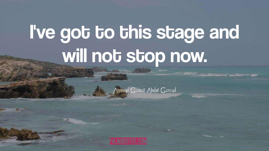 Ahmed Gamal Abdel Gawad Quotes: I've got to this stage