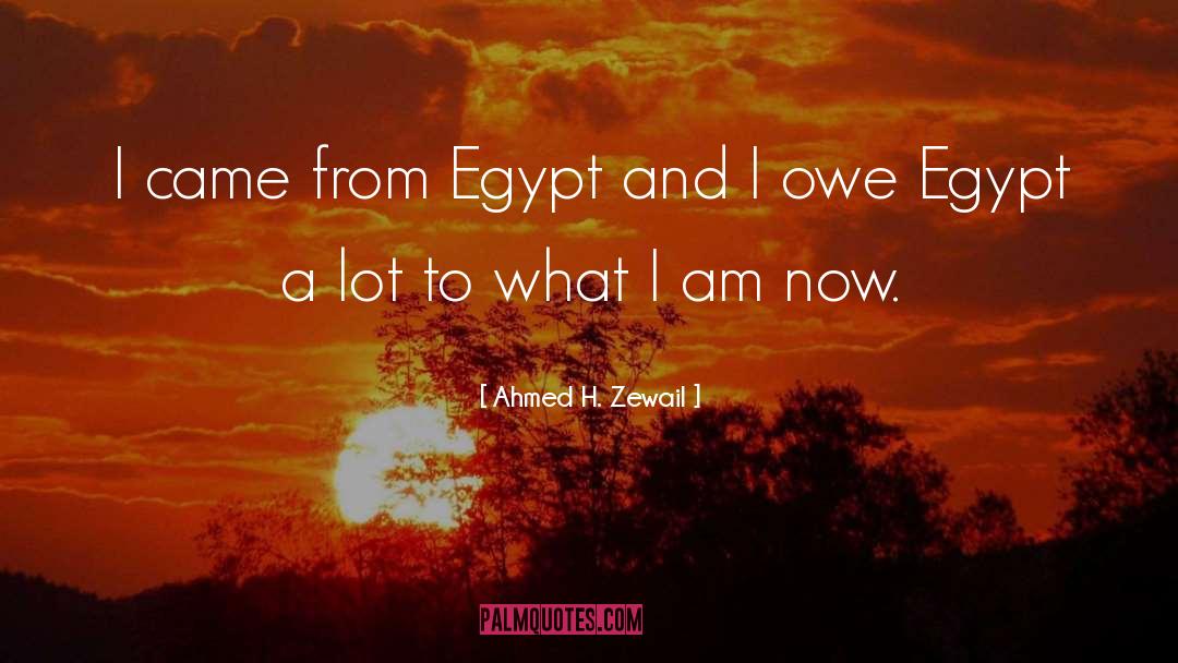 Ahmed H. Zewail Quotes: I came from Egypt and