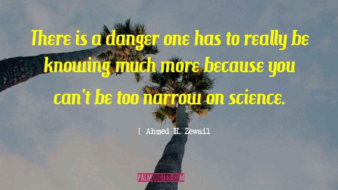 Ahmed H. Zewail Quotes: There is a danger one