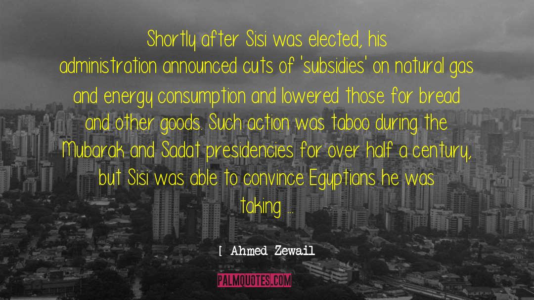 Ahmed Zewail Quotes: Shortly after Sisi was elected,