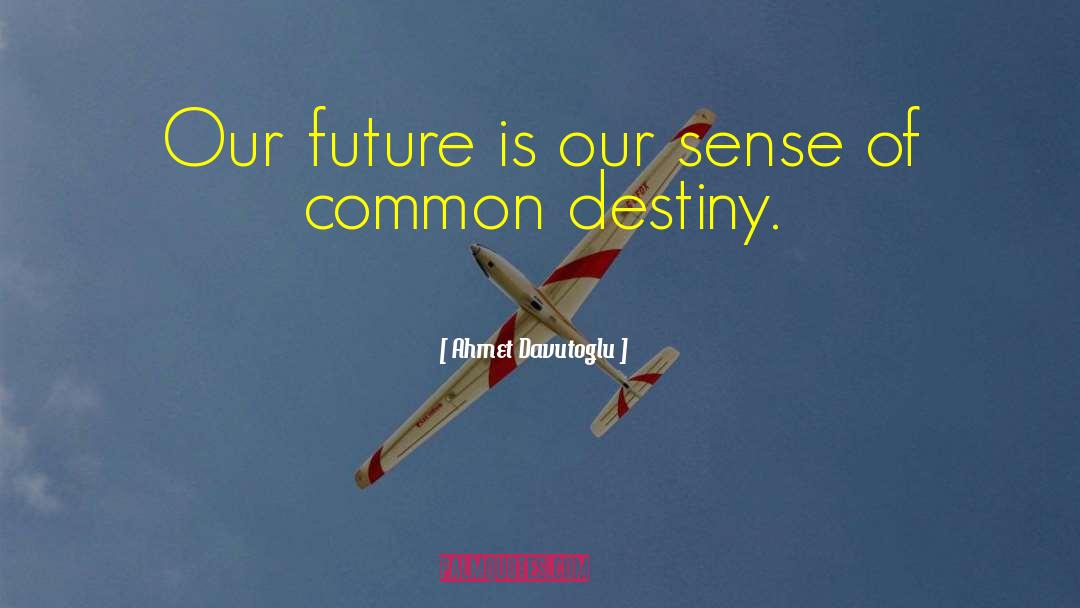Ahmet Davutoglu Quotes: Our future is our sense