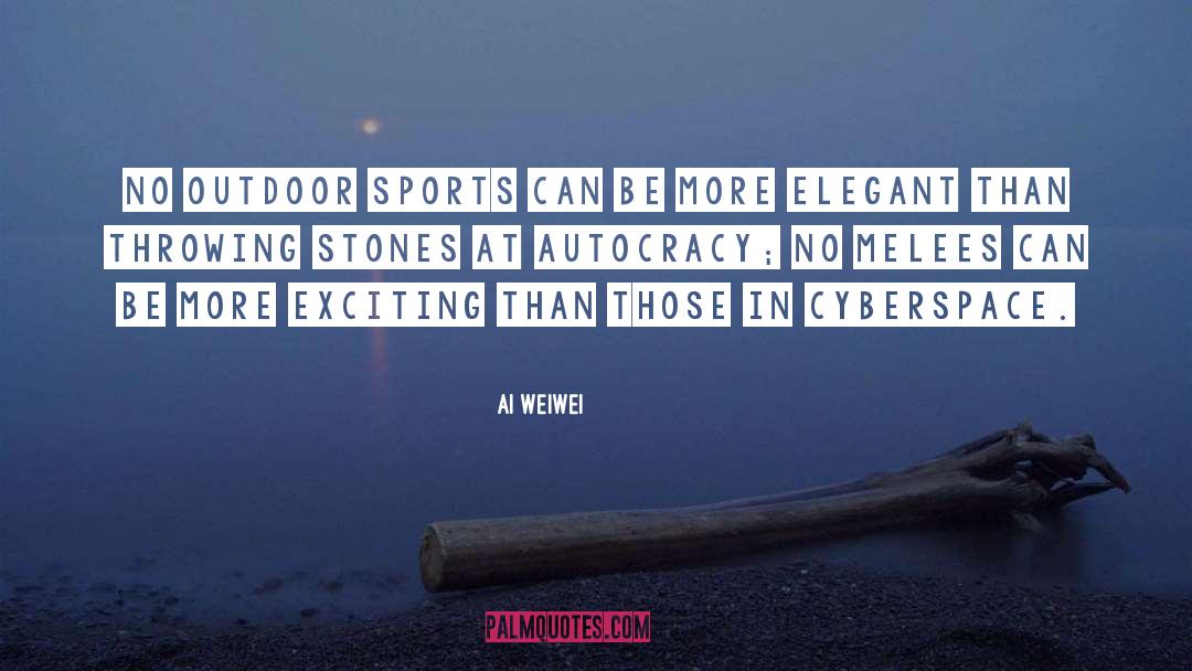 Ai Weiwei Quotes: No outdoor sports can be