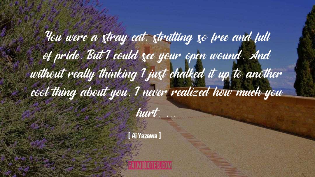 Ai Yazawa Quotes: You were a stray cat,