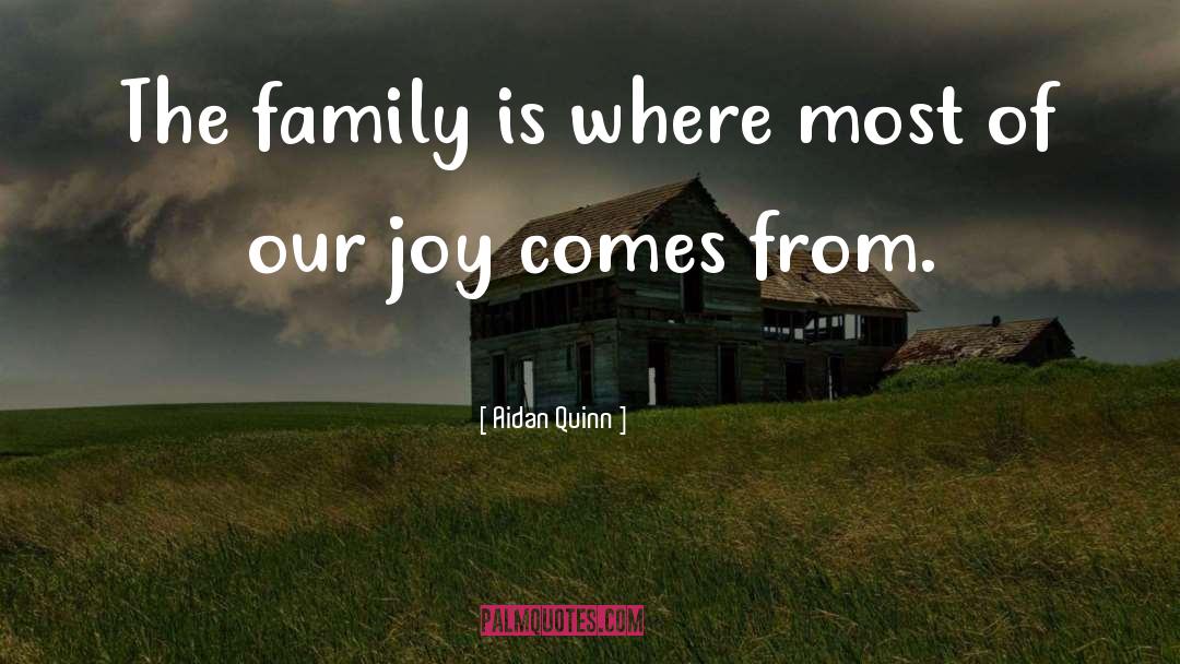 Aidan Quinn Quotes: The family is where most