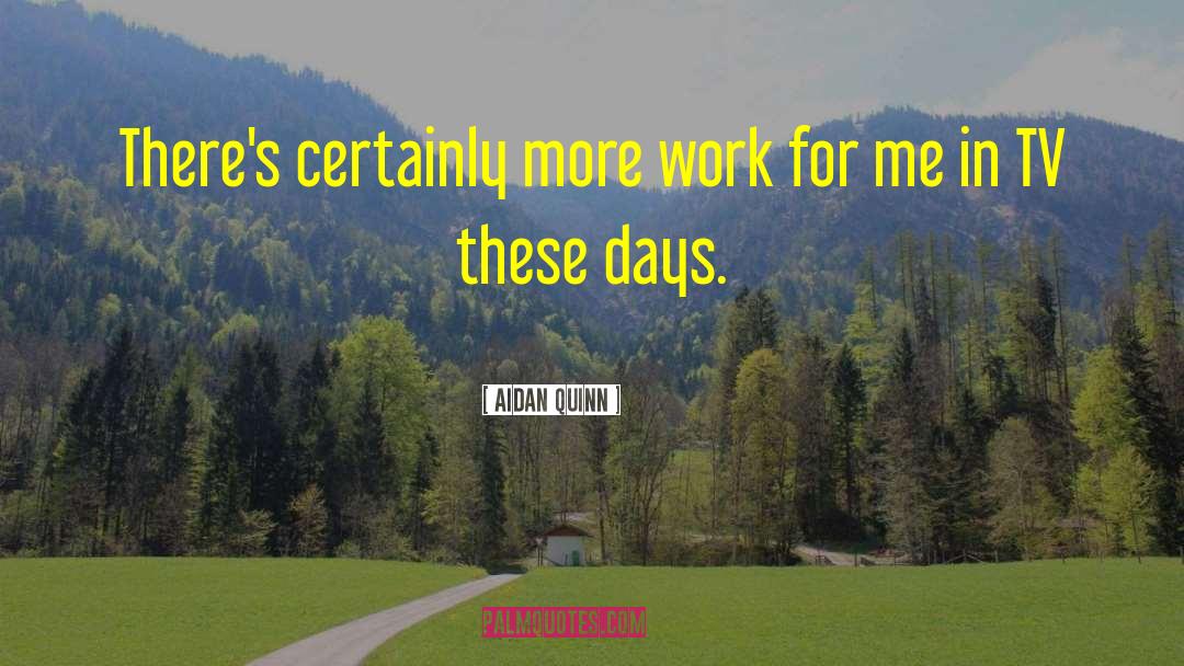 Aidan Quinn Quotes: There's certainly more work for