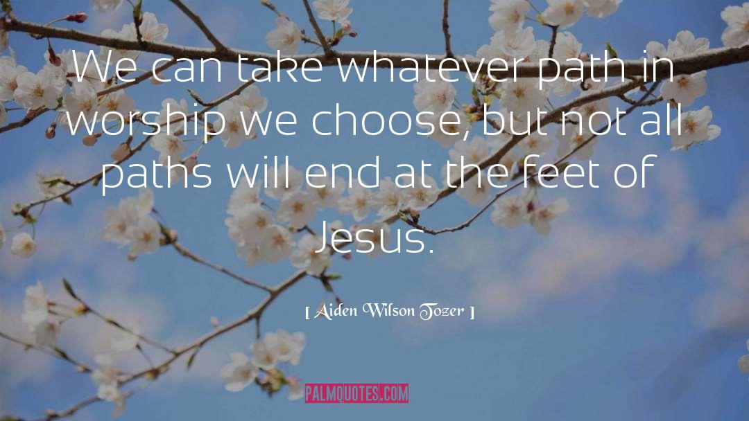 Aiden Wilson Tozer Quotes: We can take whatever path