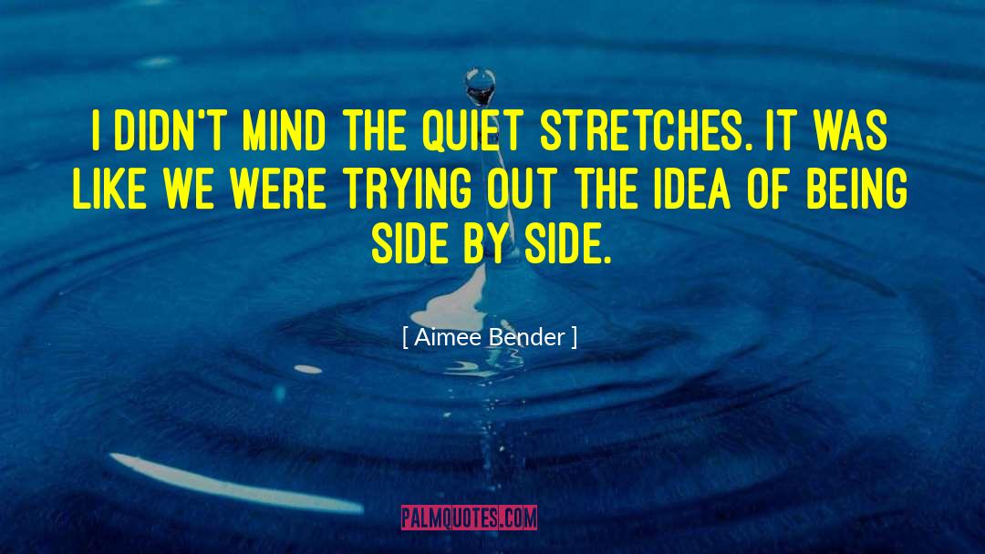 Aimee Bender Quotes: I didn't mind the quiet