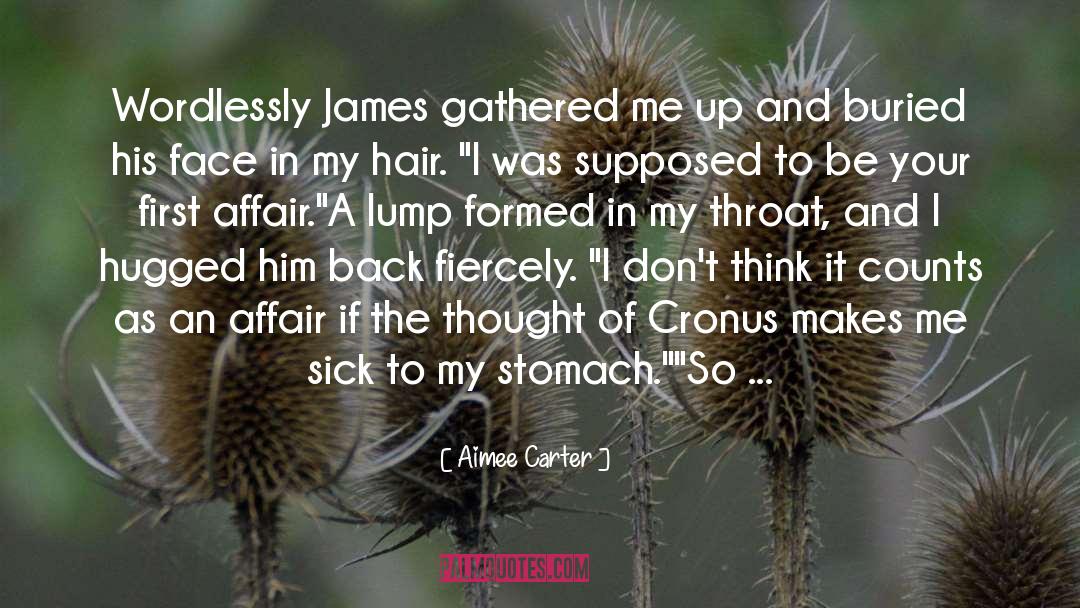 Aimee Carter Quotes: Wordlessly James gathered me up