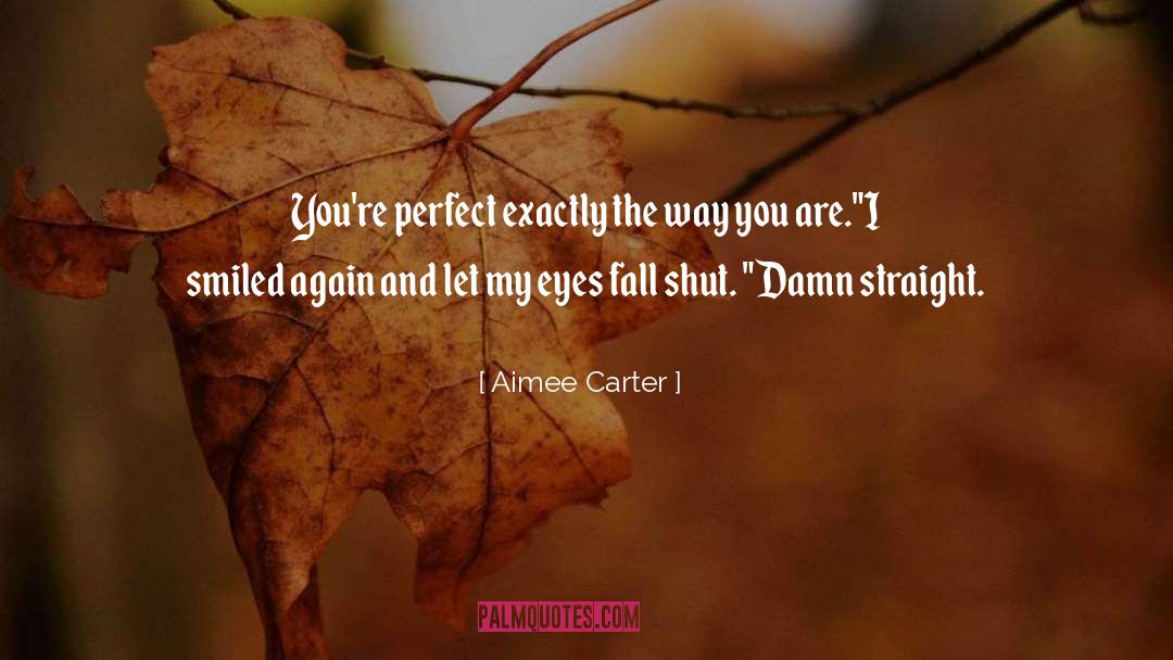 Aimee Carter Quotes: You're perfect exactly the way