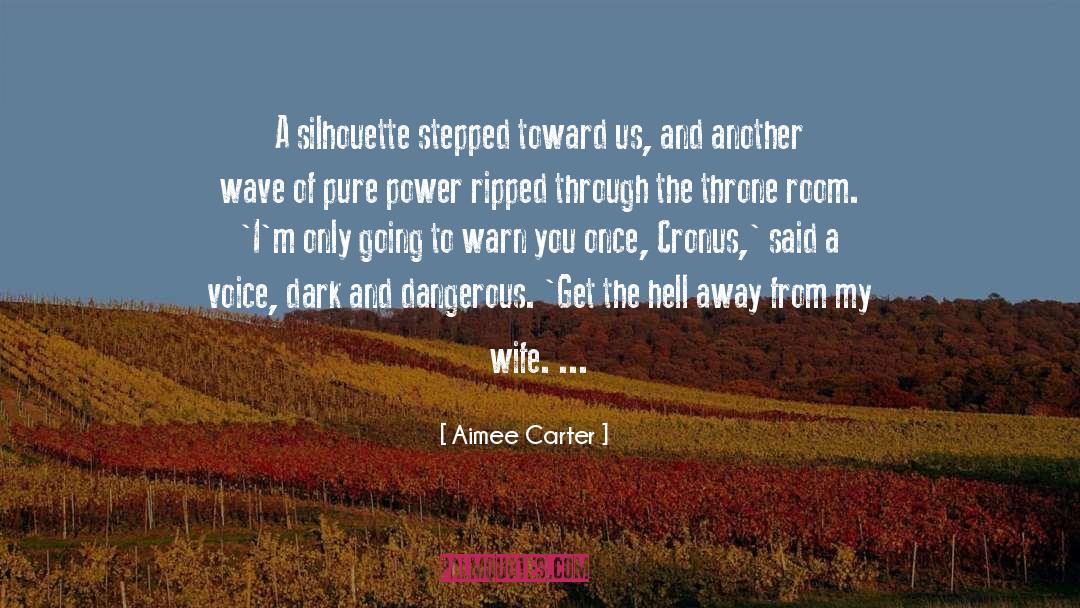 Aimee Carter Quotes: A silhouette stepped toward us,