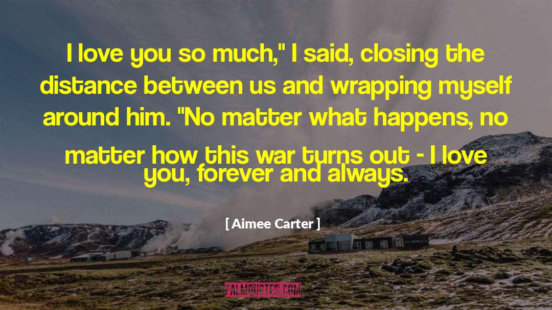 Aimee Carter Quotes: I love you so much,