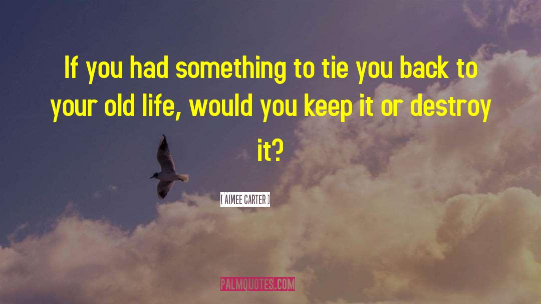 Aimee Carter Quotes: If you had something to