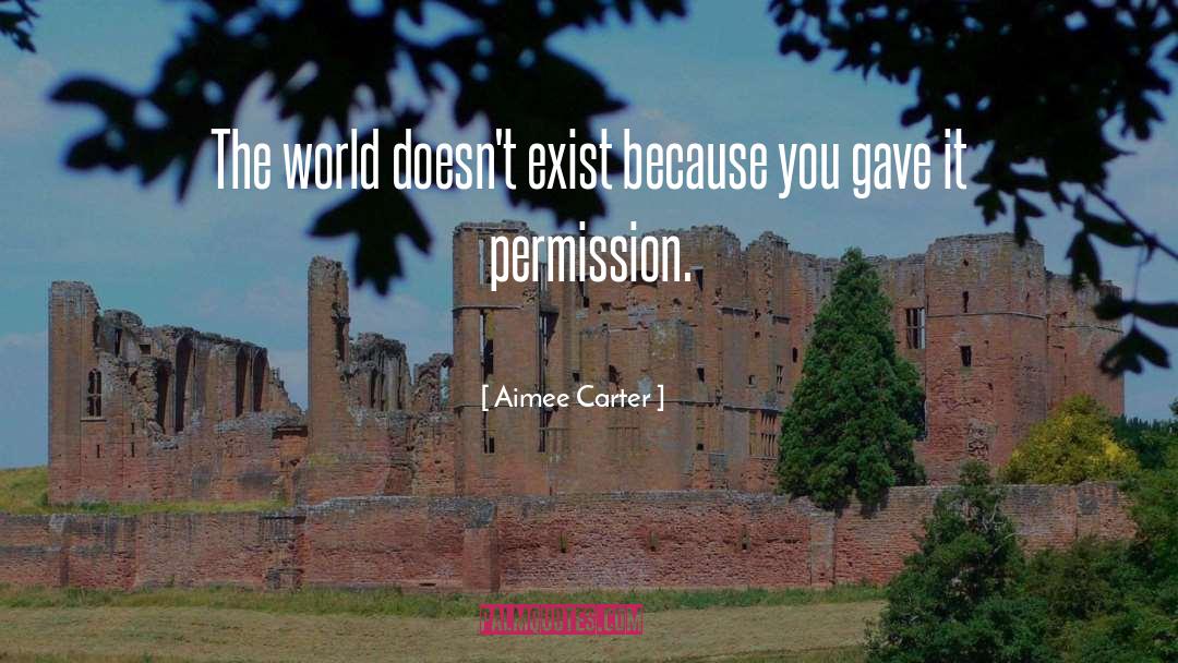 Aimee Carter Quotes: The world doesn't exist because
