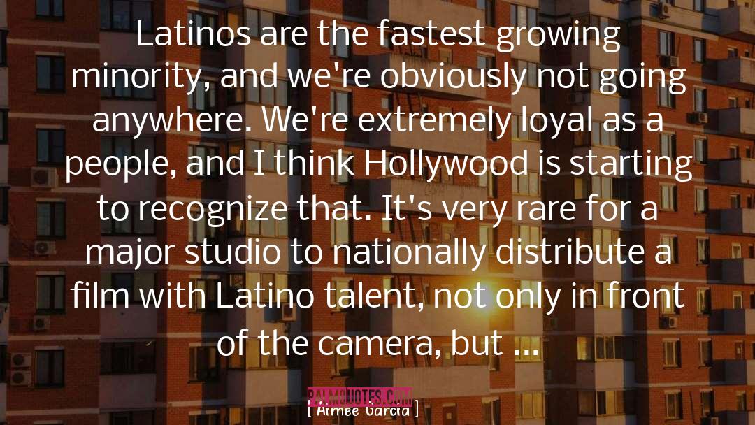 Aimee Garcia Quotes: Latinos are the fastest growing