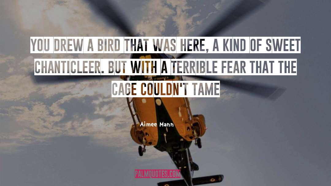 Aimee Mann Quotes: You drew a bird that