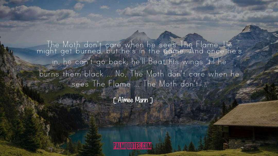 Aimee Mann Quotes: The Moth don't care when