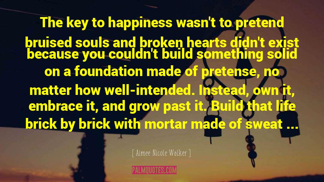 Aimee Nicole Walker Quotes: The key to happiness wasn't