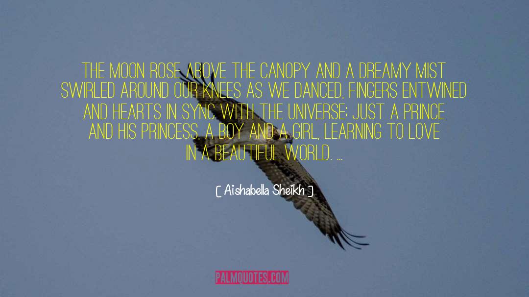 Aishabella Sheikh Quotes: The moon rose above the