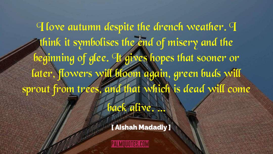 Aishah Madadiy Quotes: I love autumn despite the