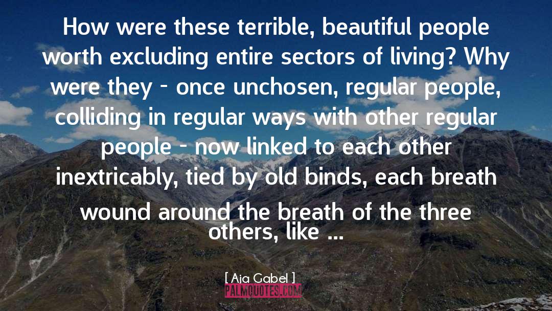 Aja Gabel Quotes: How were these terrible, beautiful