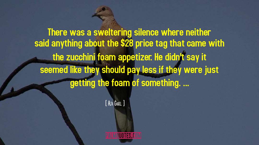 Aja Gabel Quotes: There was a sweltering silence