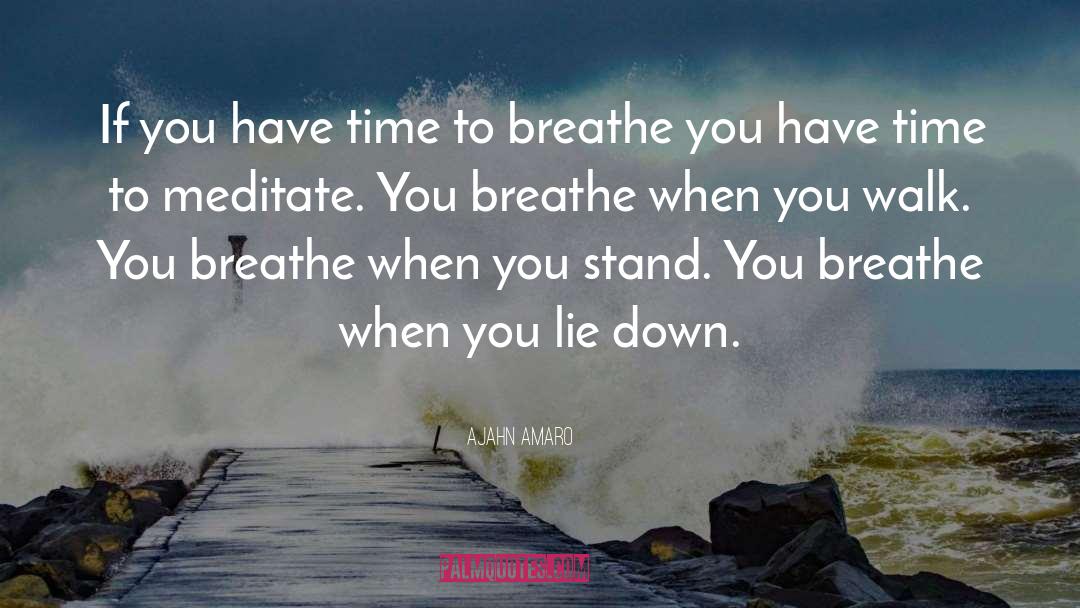 Ajahn Amaro Quotes: If you have time to