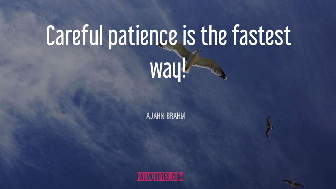 Ajahn Brahm Quotes: Careful patience is the fastest