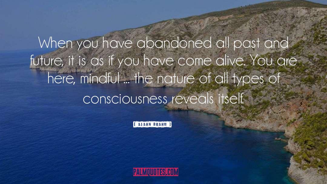 Ajahn Brahm Quotes: When you have abandoned all
