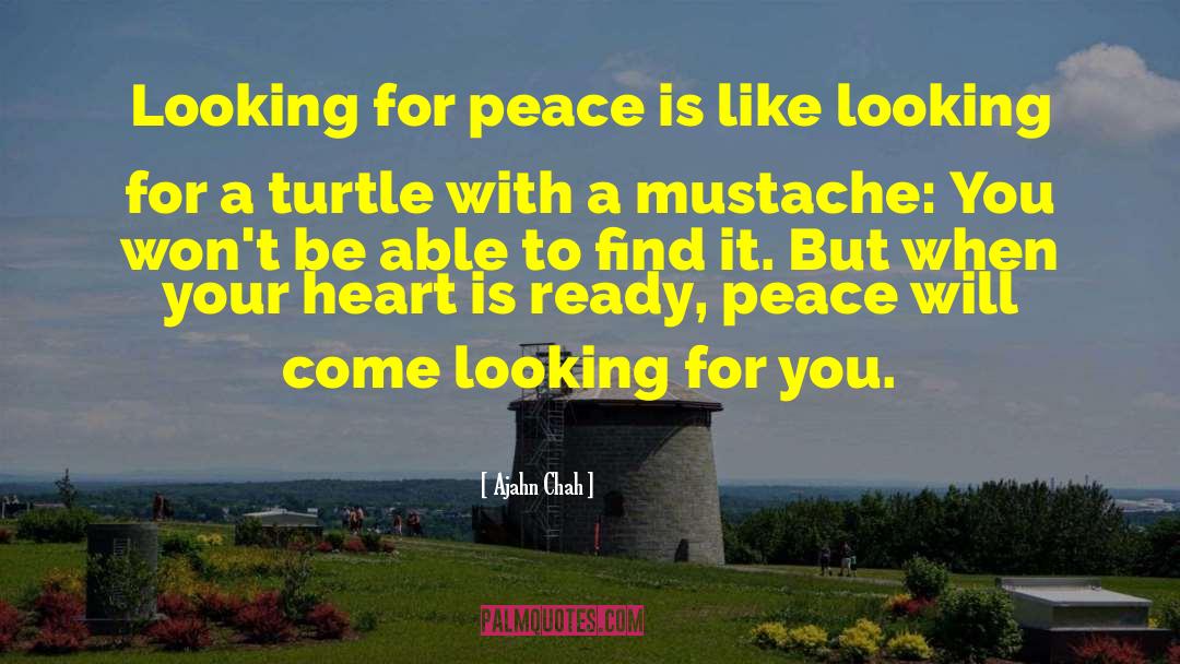 Ajahn Chah Quotes: Looking for peace is like