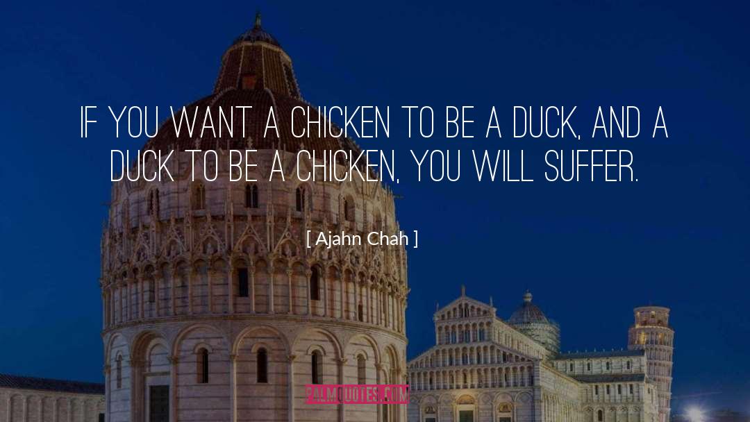 Ajahn Chah Quotes: If you want a chicken