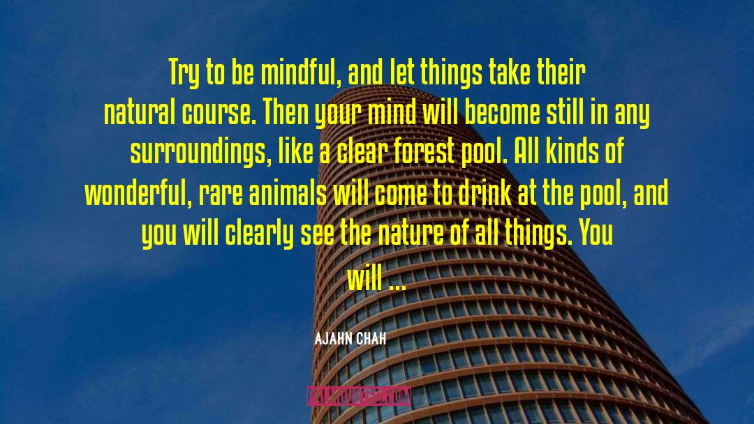 Ajahn Chah Quotes: Try to be mindful, and