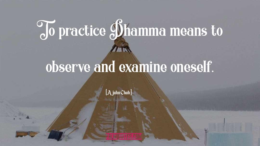 Ajahn Chah Quotes: To practice Dhamma means to