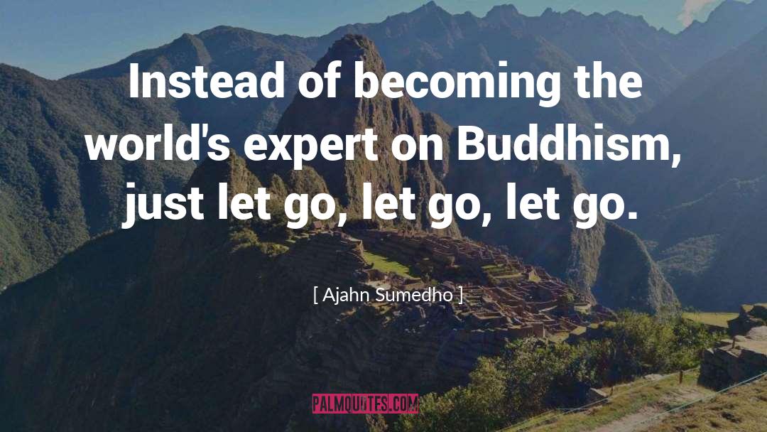 Ajahn Sumedho Quotes: Instead of becoming the world's