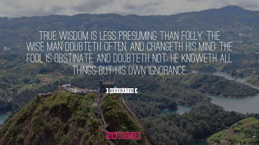 Akhenaton Quotes: True wisdom is less presuming