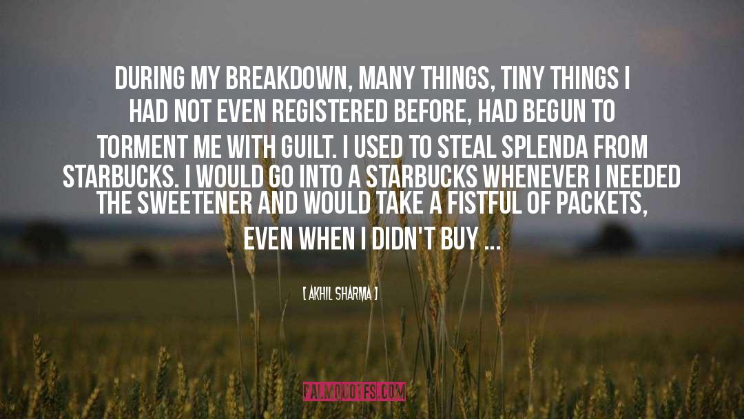 Akhil Sharma Quotes: During my breakdown, many things,
