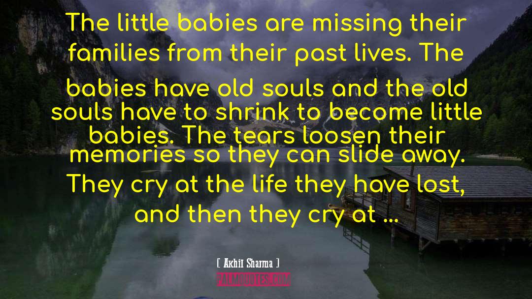 Akhil Sharma Quotes: The little babies are missing