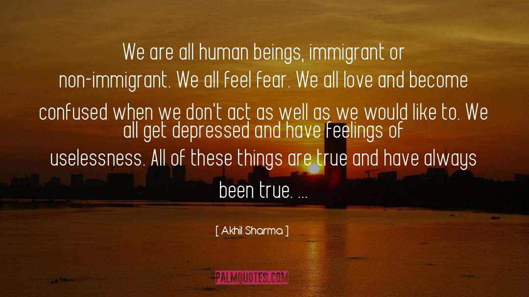 Akhil Sharma Quotes: We are all human beings,