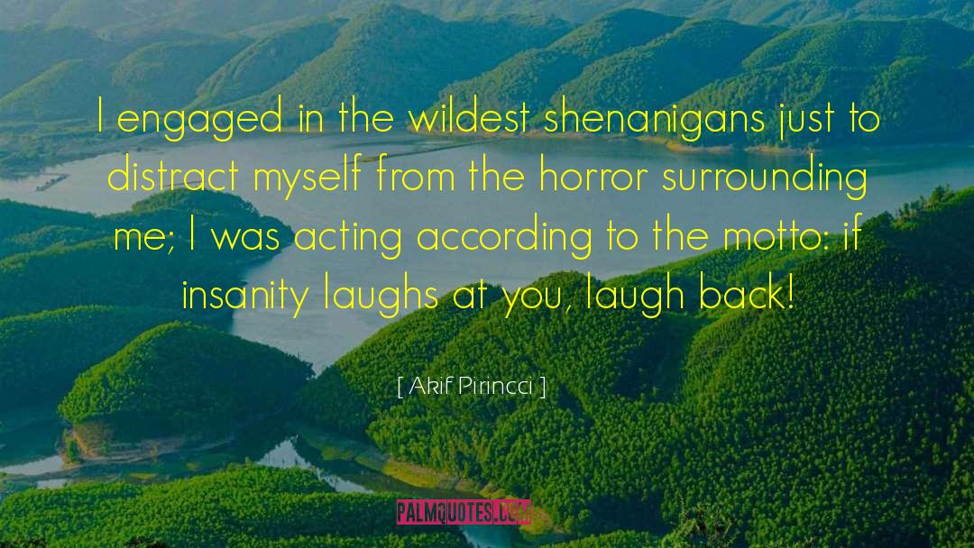 Akif Pirincci Quotes: I engaged in the wildest