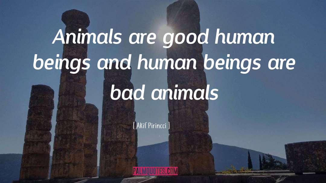 Akif Pirincci Quotes: Animals are good human beings