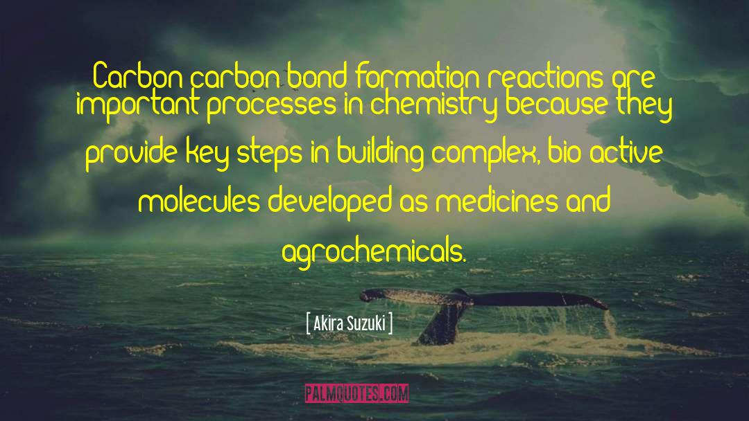 Akira Suzuki Quotes: Carbon-carbon bond formation reactions are